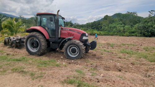 PXL 20250929 182049452