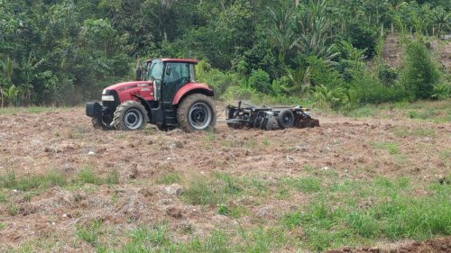 PXL 20250929 182141449