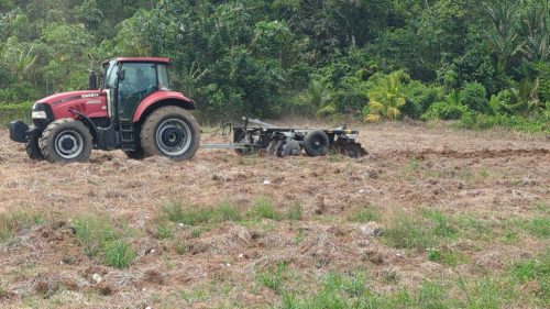 PXL 20250929 182146562