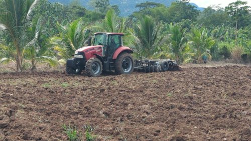 PXL 20250929 183759526