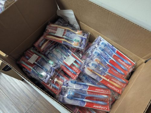 PXL 20251115 195514552